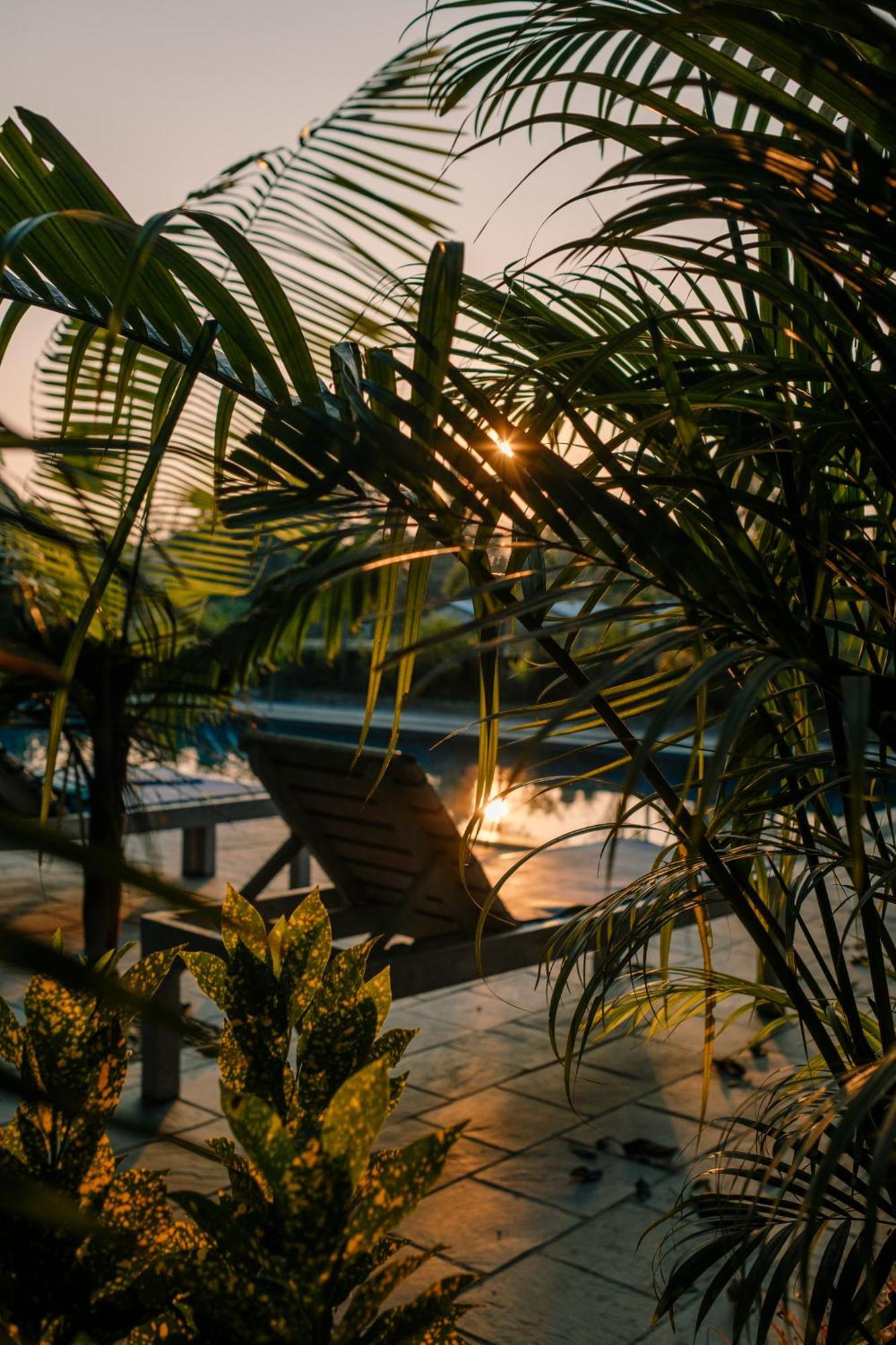 Hotel Parkside & Swimming Pool-Between Greenery And Azure ,Your Perfect Retreat Chitwan Dış mekan fotoğraf